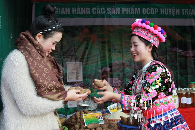 Taro output in 2024 of the entire Tram Tau district is estimated to reach more than 11,000 tons. Photo: Thanh Tien.