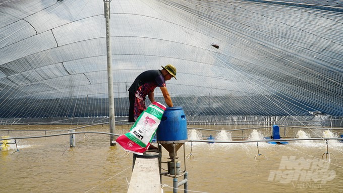 In recent years, Ba Ria-Vung Tau's fisheries industry has been focusing on aquaculture, especially the application of high technology. Photo: Le Binh.