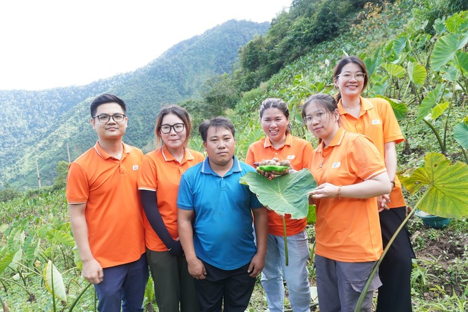 Sendo Farm organized a livestream to introduce products at the taro field of Mr. Cho A Lu's family. Photo: Thanh Tien.