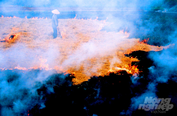 The burning of rice straw releases a significant amount of CO2 and greenhouse gases, which further exacerbates climate change. Photo: Le Hoang Vu.