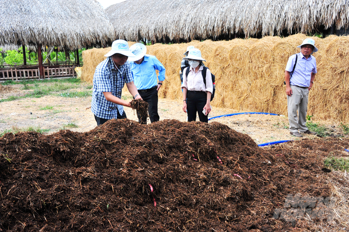 The agricultural sector in Dong Thap Province is encouraging farmers to utilize rice straw for organic fertilizer production or to apply new technologies that transform straw into by-products such as animal feed or biodegradable materials. Photo: Le Hoang Vu.