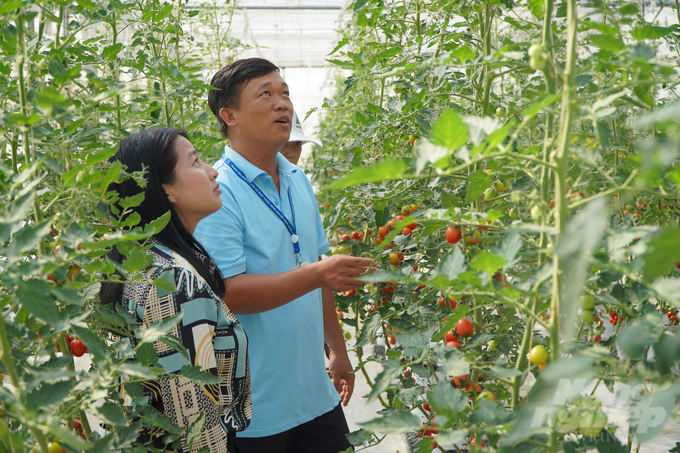 The application of high-tech and digital solutions in agricultural production management is increasingly flourishing in Vietnam. Photo: Nguyen Thuy.