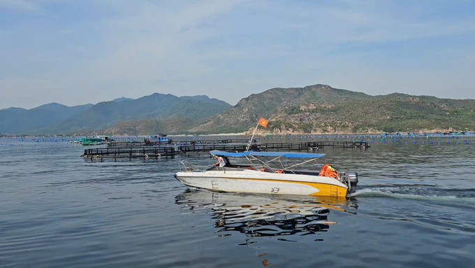 HDPE cages for farming in open sea areas in Cam Ranh, Khanh Hoa province. Photo: KS.