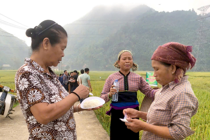 Người dân địa phương ăn thử và nhận xét cơm của lúa NTS01 dẻo, thơm, đậm vị. Ảnh: Nguyễn Thị Nga.