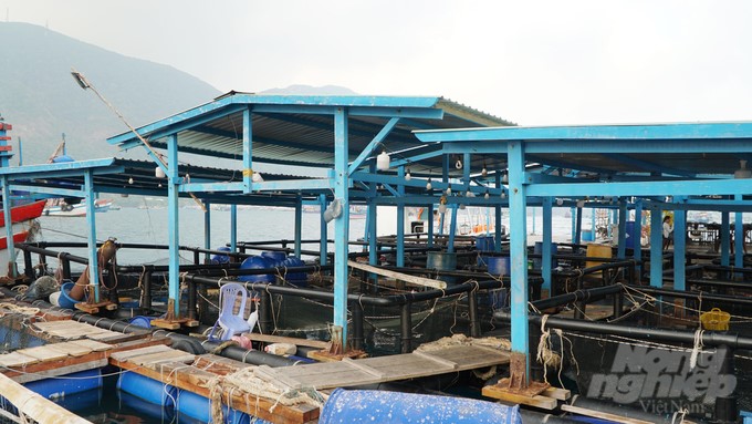 Mr. Le Van Quan's household is using cages made from HDPE material combined with roofs in marine farming. Photo: Le Binh.