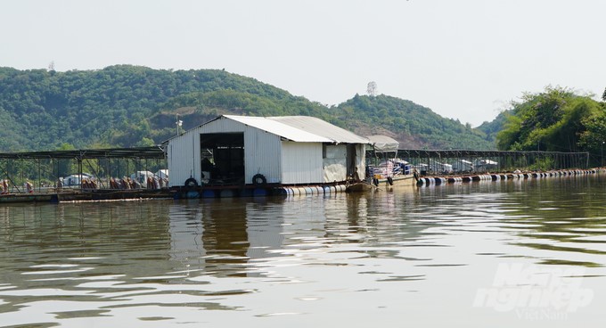 Fish cages on rivers also consider the use of durable, environmentally friendly materials. Photo: Le Binh.