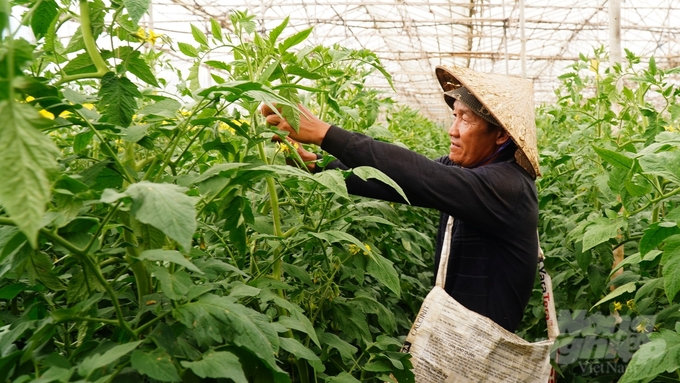 The 2024 Sustainable Food Forum helps raise community awareness about the role of sustainable agriculture, which plays a crucial part in combating climate change and protecting the environment. Photo: Tran Phi.