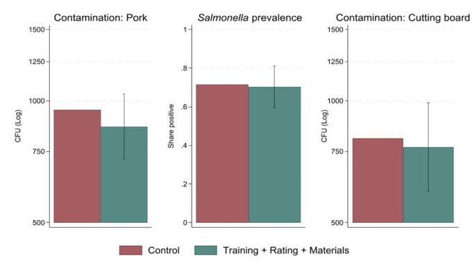 The level of microbiological contamination decreased (green compared to red) after the food safety intervention. Photo: ILRI.