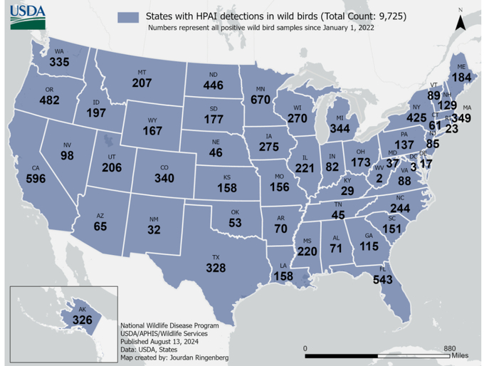 Number of H5N1 positive cases in US states. Photo: USDA.