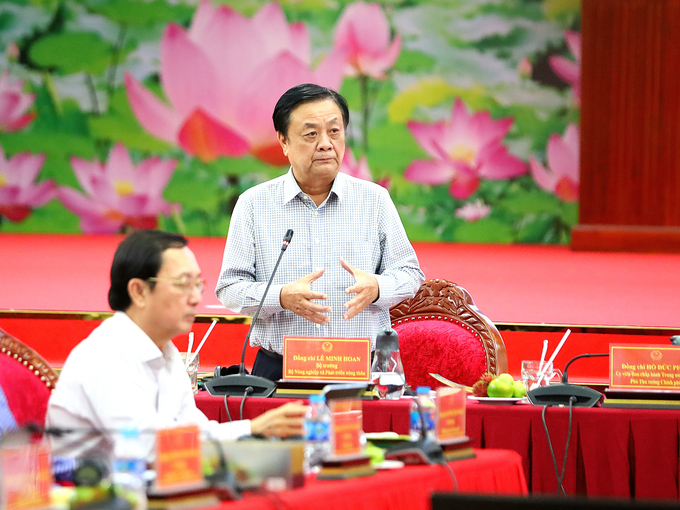 Minister of Agriculture and Rural Development Le Minh Hoan assessed that the 1 Million hectares of high-quality rice project in the Mekong Delta will create a revolution in Vietnam's rice production. Photo: MT.