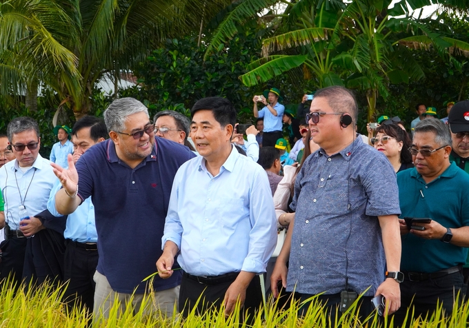 The 1 Million hectares of high-quality rice project in the Mekong Delta is garnering attention from many countries around the world. Photo: Kim Anh.