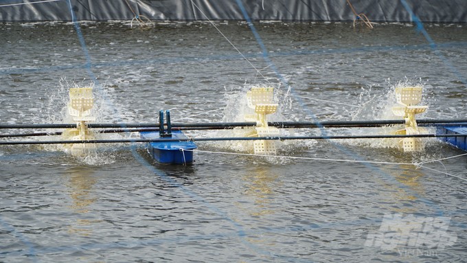 Thanks to high-tech applications, farmers can control shrimp health well. Photo: Le Binh.