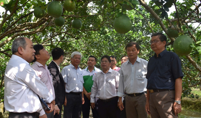 Hội Nông dân là cầu nối truyền tải khoa học kỹ thuật, thông điệp, chỉ đạo của ngành NN-PTNT đến với bà con nông dân. Ảnh: Minh Đảm.