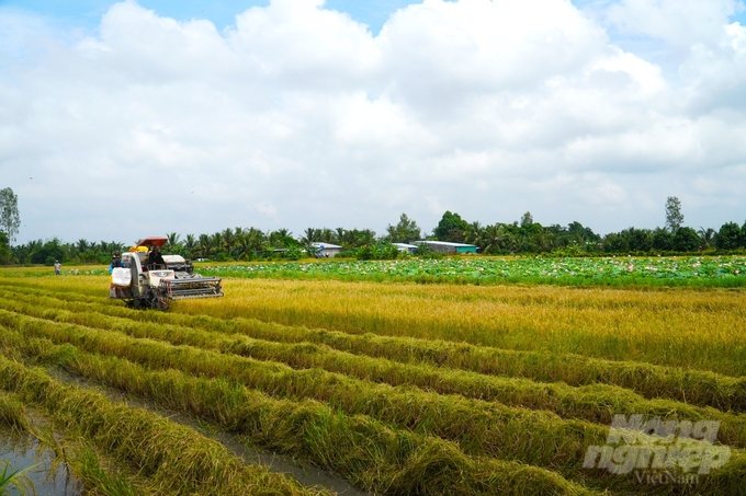  Người dân địa phương được tạo điều kiện ứng dụng khoa học kỹ thuật vào sản xuất, chuyển đổi cơ cấu cây trồng, vật nuôi. Ảnh: KT.