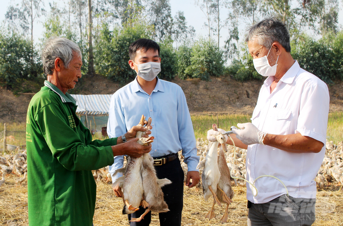 Mục tiêu của ngành thú y An Giang đưa ra đến cuối năm tiêm phòng  vacxin cho đàn vật nuôi trên địa bàn phải đạt trên 90%. Ảnh: Lê Hoàng Vũ.