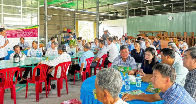 Chương trình thu hút đông đảo nông dân trồng xoài ở Đồng Tháp tham gia. Ảnh: Thanh Hải.