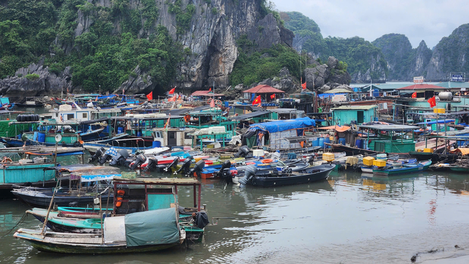 The Ministry of Agriculture and Rural Development has requested the Philippines to support Vietnam\'s membership in the Western and Central Pacific Fisheries Commission. Photo: Nguyen Thanh.