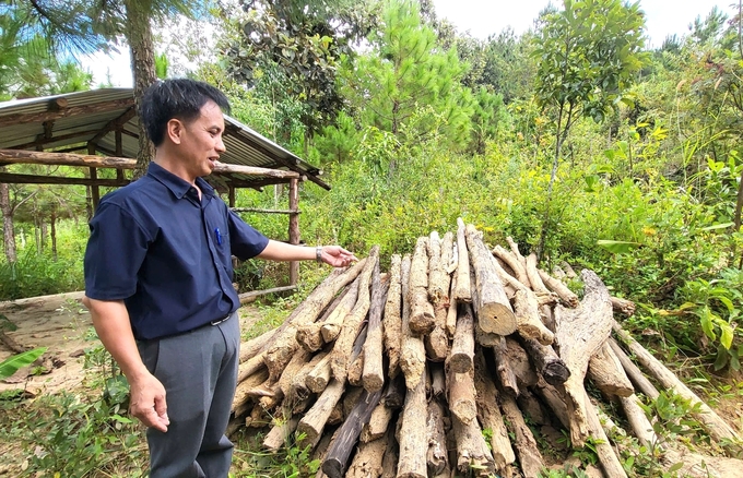 Sau khi được vận động, bà con đã tự nguyện nhổ bỏ cây trồng, tháo dỡ công trình trái phép trên đất dự án. Ảnh: Đăng Lâm. 