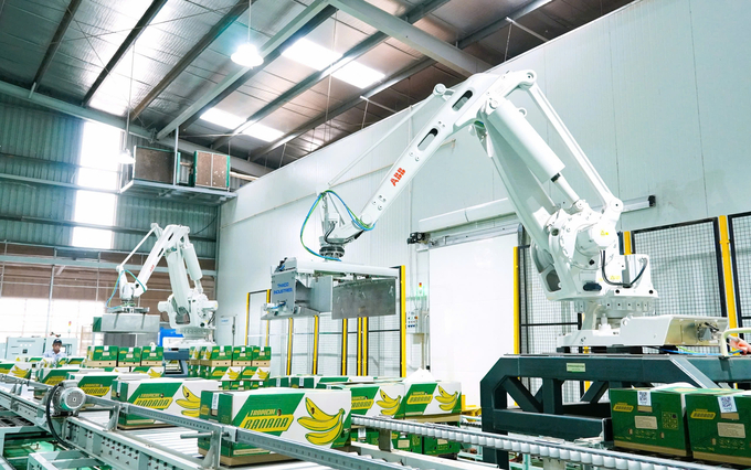 Thaco Agri applies ABB robotic arms at banana packing plants (Binh Phuoc 1B plant – Snuol integrated complex, Cambodia).