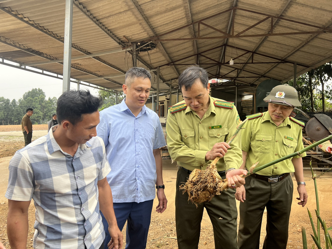 Cần thay thế cây trồng ngắn ngày bằng cây dài ngày và thay đổi quy trình kỹ thuật canh tác để giảm rửa trôi, xói mòn đất. nong duoc viet nam