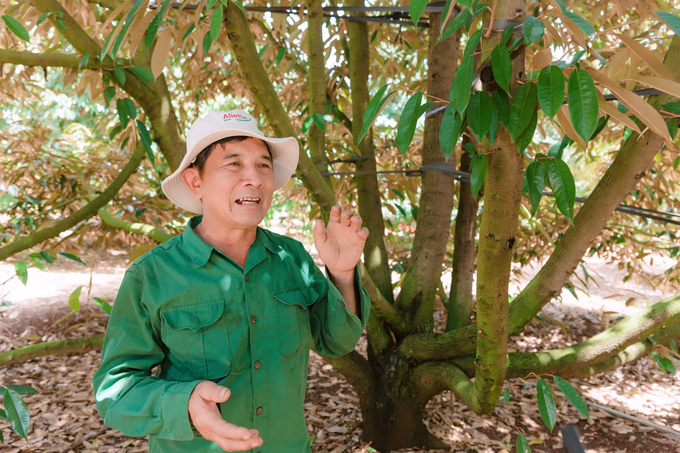 Mr. Nguyen Van Su, the owner of the durian orchard, shares his experience with farmers visiting the durian orchard as part of the Better Life Farming demonstration project. Photo: Hong Thuy.