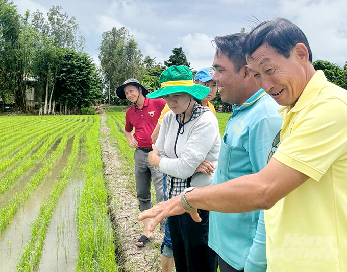 Hiện nay, An Giang đã thành lập được 129 tổ khuyến nông cộng đồng với 1.601 thành viên. Ảnh: Lê Hoàng Vũ.