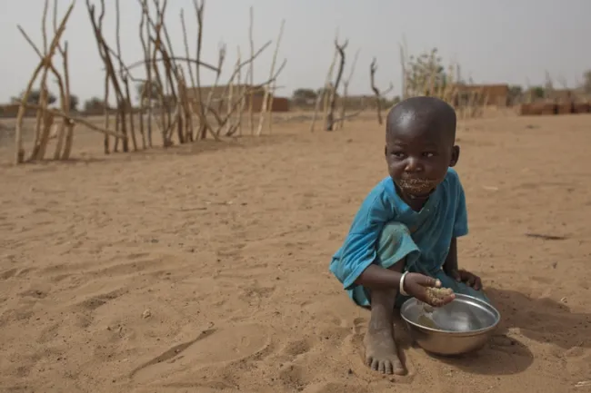 Globally, around 733 million people are suffering from hunger, primarily due to conflict, extreme weather, inequality, and economic downturns. Photo: AFP.