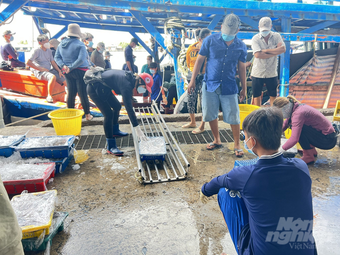 There are still fishing vessels unable to meet the conditions to enter and exit ports or participate in fishing activities. Photo: Trong Linh.