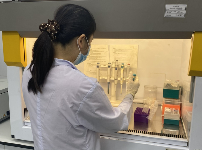 The Animal Disease Diagnosis and Testing Station under the Regional Veterinary Department II (Department of Animal Health) in Hai Phong City. Photo: Hoai Tho.