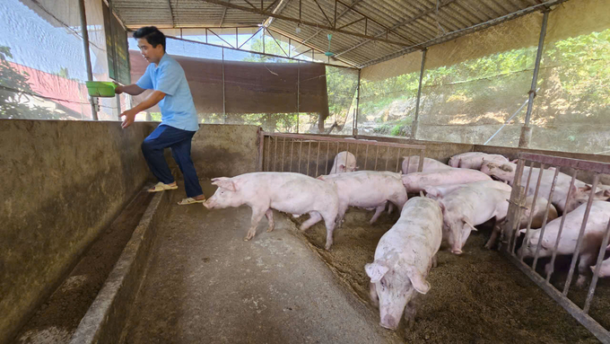 Mô hình chăn nuôi '5 không' giúp giải quyết 3 bài toán là kinh tế, xã hội và môi trường. Ảnh: Hoàng Anh.