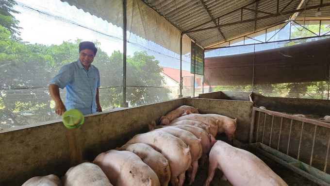 Mô hình chăn nuôi an toàn sinh học của anh Năng Văn Hiệp, xã Bồ Lý, huyện Tam Đảo. Ảnh: Văn Việt.