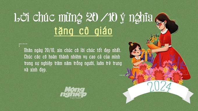 Lời chúc ngày Phụ nữ Việt Nam 20/10 hay và ý nghĩa tặng cô giáo năm 2024