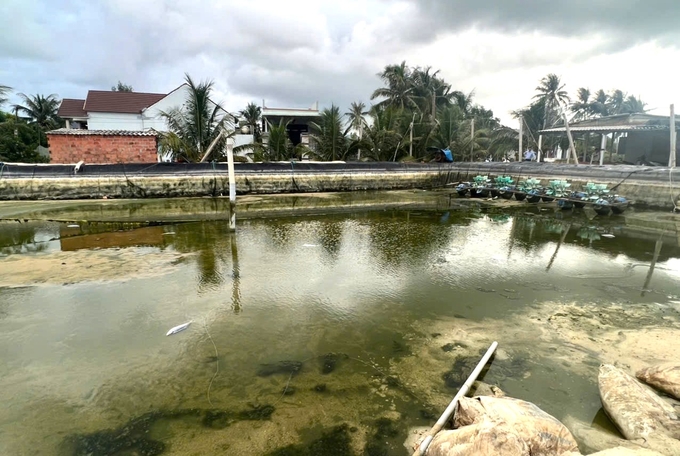 Công ty Nam Ngân san ủi ao nuôi tôm, cá của ông Huỳnh Trung Phi khiến ông Phi thiệt hại hàng trăm triệu đồng. Ảnh: V.Đ.T.