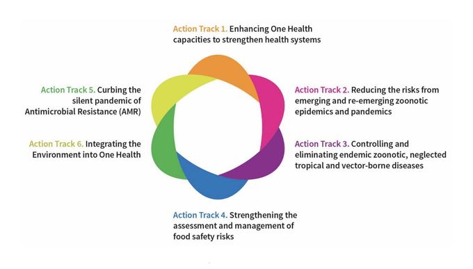 The One Health Joint Plan of Action (OH JPA) is designed to create sustainable and holistic solutions to better manage threats to the health of humans, animals, plants, and the environment and prevent potential future pandemics.