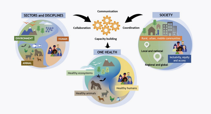 One Health promotes a sustainable and healthy future through collaboration, communication, coordination and capacity building.