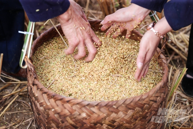 'Đích đến' của mùa vàng là những bồ thóc đong đầy. Ngoài hoạt động thu hoạch lúa, huyện Bắc Sơn còn song song tổ chức nhiều hoạt động khác như đua xe đạp, bay dù lượn, chèo thuyền... nhằm thu hút khách du lịch. Trong khuôn khổ chương trình khai mạc Lễ hội 'Mùa vàng Bắc Sơn' năm 2024, các tổ chức, đơn vị, doanh nghiệp, cá nhân... đã ủng hộ chương trình xóa nhà dột nát và chương trình an sinh xã hội trên địa bàn huyện Bắc Sơn. Tổng số tiền ủng hộ hai chương trình được hơn 1,6 tỷ đồng.