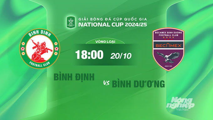 FPTPlay trực tiếp Bình Định vs Bình Dương, cúp Quốc gia 2024/25, 18h00 hôm nay 20/10/2024