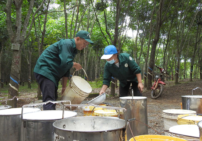 VRG được Thanh tra Bộ Lao động - Thương binh và Xã hội đánh giá là thực hiện tốt các quy định pháp luật về lao động. Ảnh: Thanh Sơn.