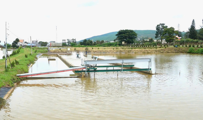 Hệ thống nuôi cá tầm 'sông trong ao' giúp thức ăn dư thừa và các chất thải của cá được tách khỏi hệ thống nuôi, từ đó tránh ô nhiễm hữu cơ. Ảnh: PC.