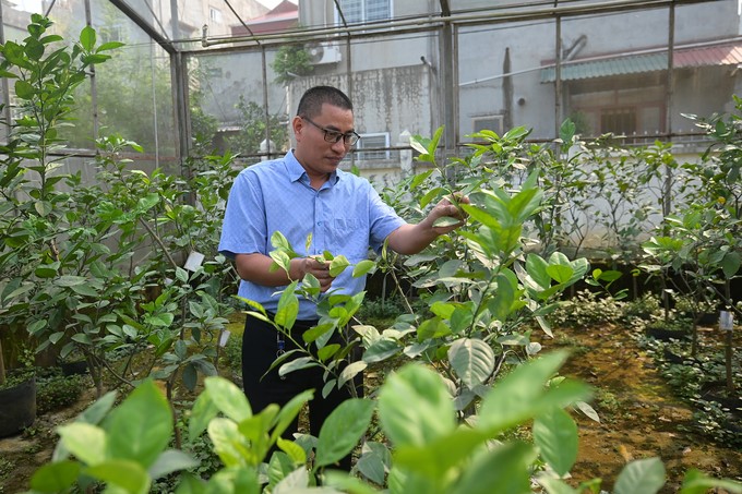 Mr. Cao Van Chi introduced the net house system of the Center for Citrus Research and Development. Photo: Tung Dinh.