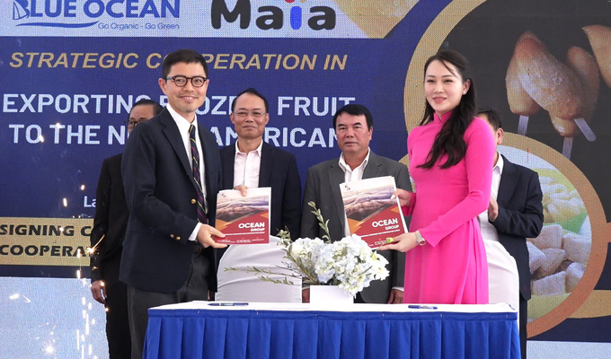 Blue Ocean JSC and Japan’s Maia company signed a memorandum of understanding on a strategic partnership to supply frozen fruits and vegetables. Photo: PC.