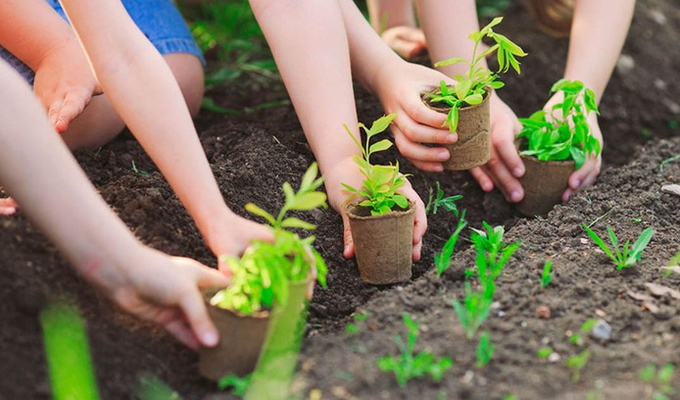 Forestry enterprises build raw material areas in the direction of joint ventures, partnerships with forest growers, and the establishment of cooperatives.