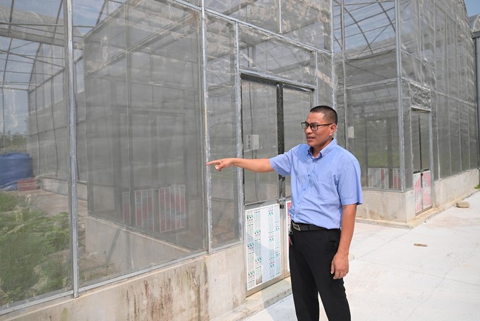 Mr. Cao Van Chi at the newly invested net house system with an area of 1,600 m2. Photo: Tung Dinh.