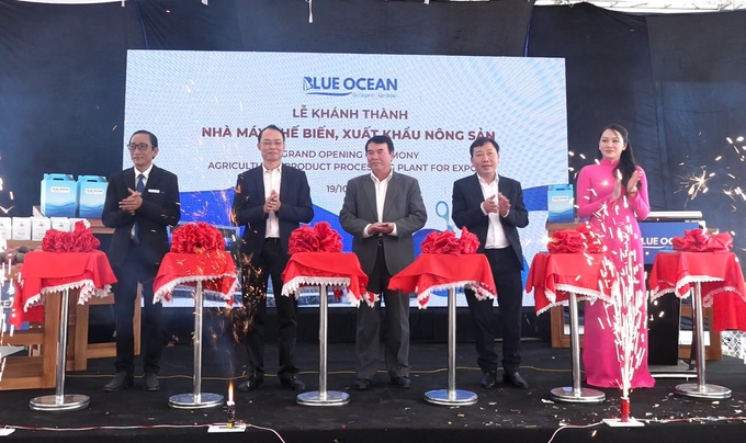 Blue Ocean inaugurated a frozen fruit processing plant of 10,000 sqm. Photo: PC.