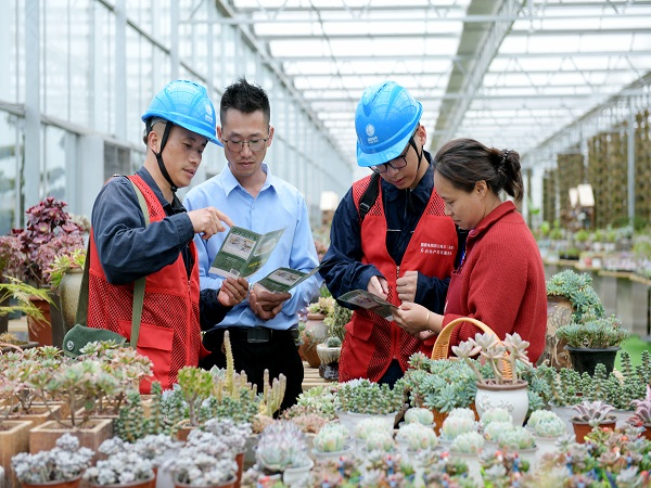 To assist farmers in boosting yields and incomes, State Grid Wenzhou Power Supply Co has adopted a 'point-to-point' service model. 