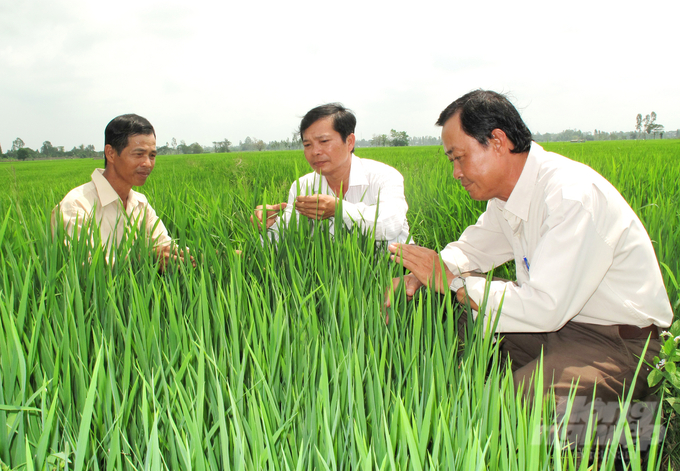 Community agricultural extension teams are the core force in transferring technology and new knowledge to farmers. Photo: Le Hoang Vu.