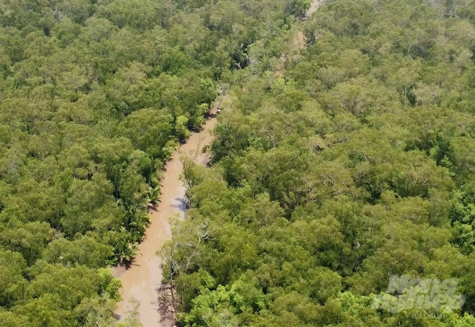 U Minh Ha National Park is one of the most notable conservation areas for Melaleuca forests on peatland in the Mekong Delta, with very high biodiversity. Photo: Trung Chanh.