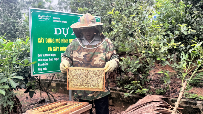 Trung bình mỗi năm gia đình ông Nguyễn Quang Đài (thôn Mỹ Ngọc, xã Đức Lĩnh, huyện Vũ Quang) thu gần 800 lít mật ong. Ảnh: Ánh Nguyệt.