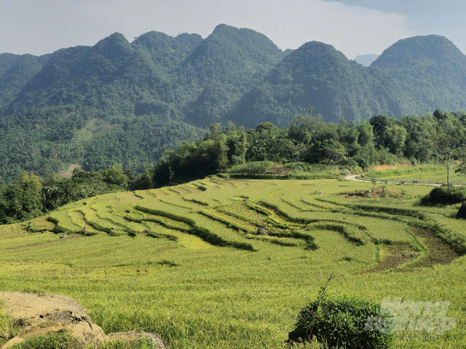 Pù Luông gây ấn tượng với du khách bằng vẻ đẹp hoang sơ của những khu rừng rậm nguyên sinh, những thửa ruộng bậc thang. Ảnh: Quốc Toản.