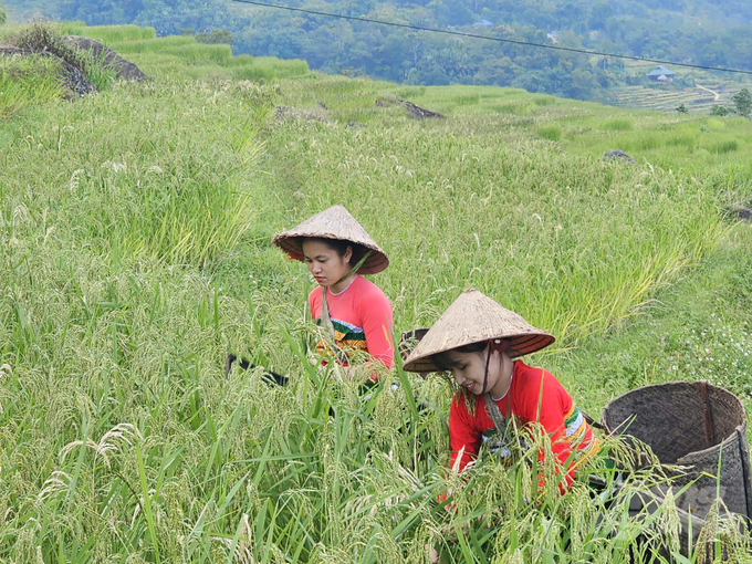 Pu Luong tourism area, famous for its stunning landscape. Photo: Quoc Toan.